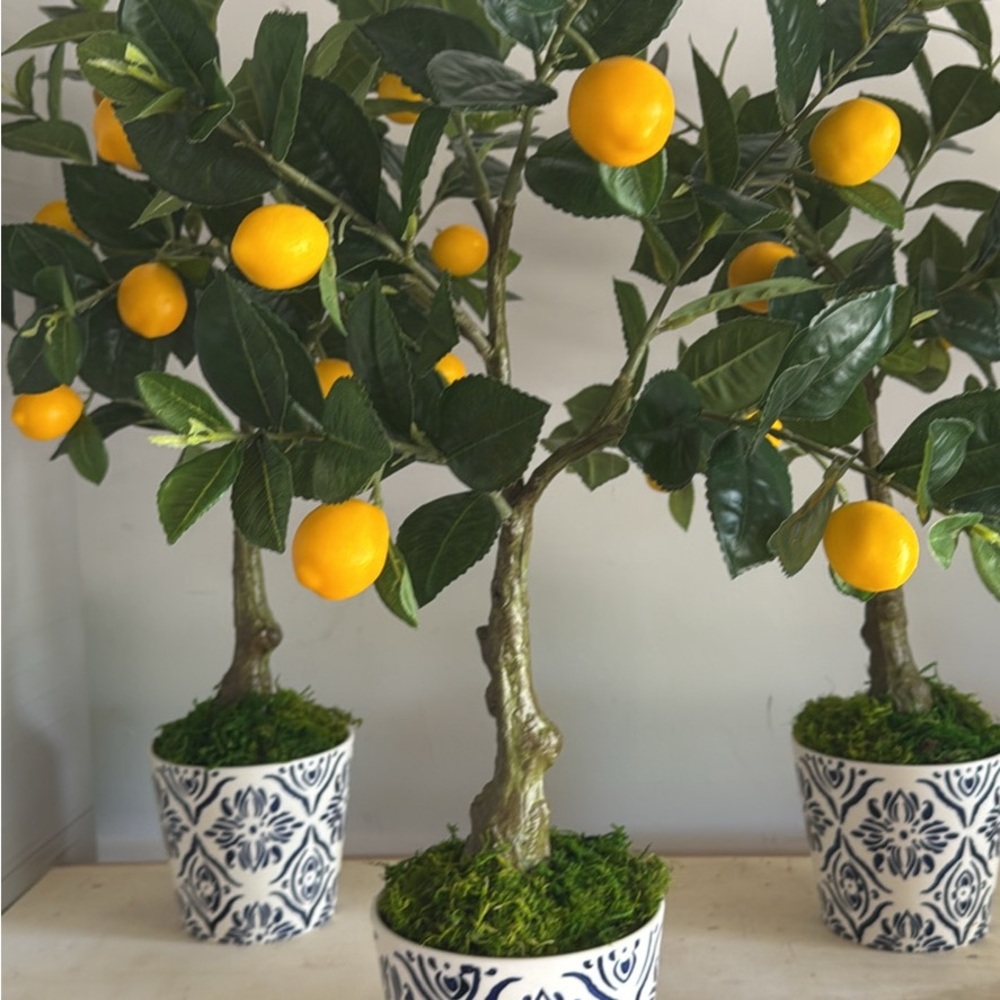 Artificial Lemon Tree in Decorative Pot (5)